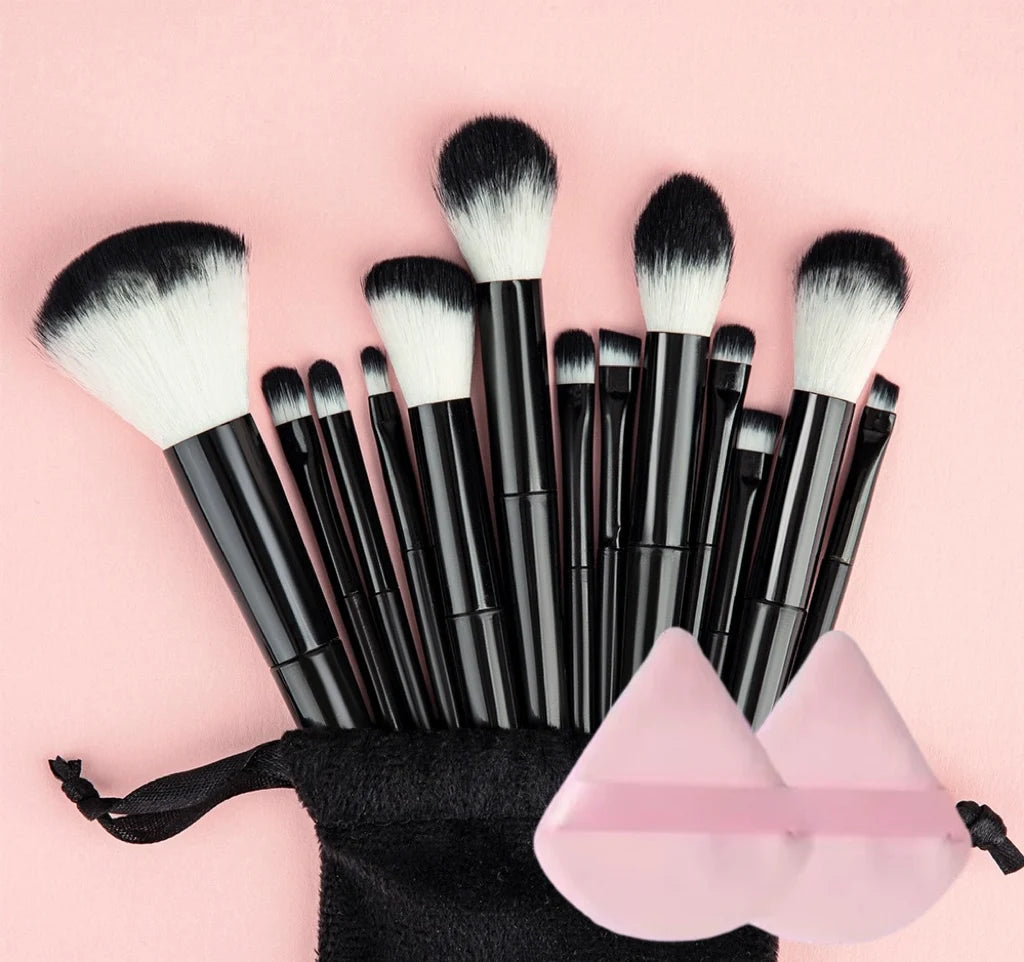 13Pcs Makeup Brush Set + Bag,Professional Nylon Bristle, ABS Handle, Unscented, for All Skin Types, Includes Eye Shadow, Powder