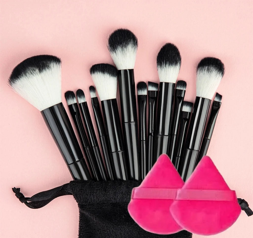 13Pcs Makeup Brush Set + Bag,Professional Nylon Bristle, ABS Handle, Unscented, for All Skin Types, Includes Eye Shadow, Powder
